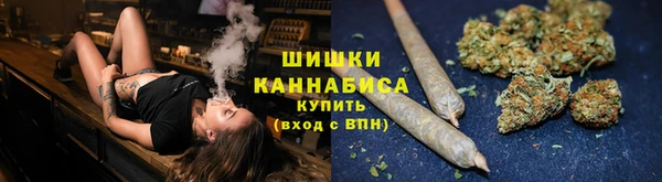 apvp Богданович