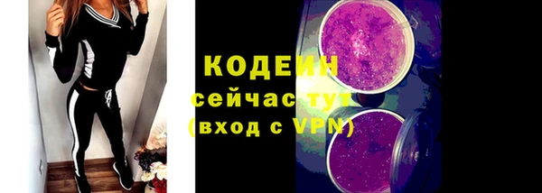 apvp Богданович