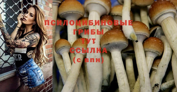 СК Богородск