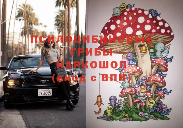 apvp Богданович